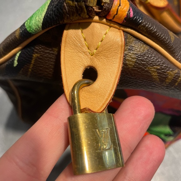 LOUIS VUITTON MONOGRAM ROSES SPEEDY 30 HANDBAG (2008) - Picture 16 of 16